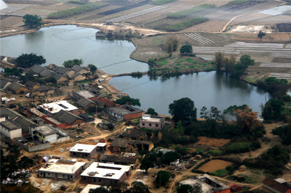 土壤水分對(duì)葉片特性有什么影響？