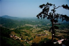 土壤水分速測儀在連翹種植中效果如何？