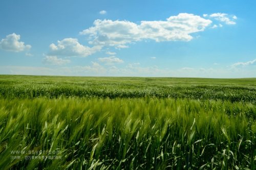 智慧農(nóng)業(yè)帶來了什么？